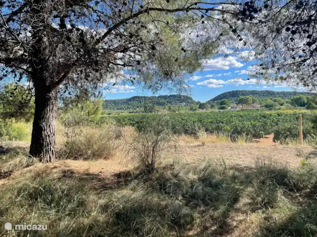 El Molino en España, Valencia, Monserrat - molino Vistas de los campos de naranjos desde el jardín.