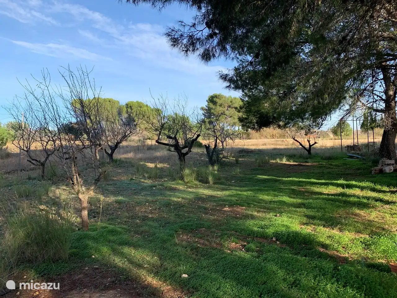 Vista frontal (terreno propio)