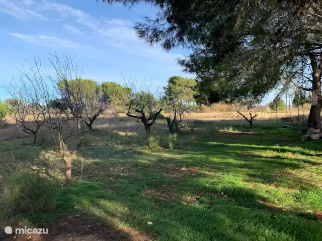 El Molino en España, Valencia, Monserrat - molino Vista frontal (terreno propio)