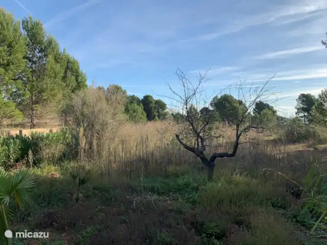 El Molino en España, Valencia, Monserrat - molino Vista trasera (al lado de la piscina)
