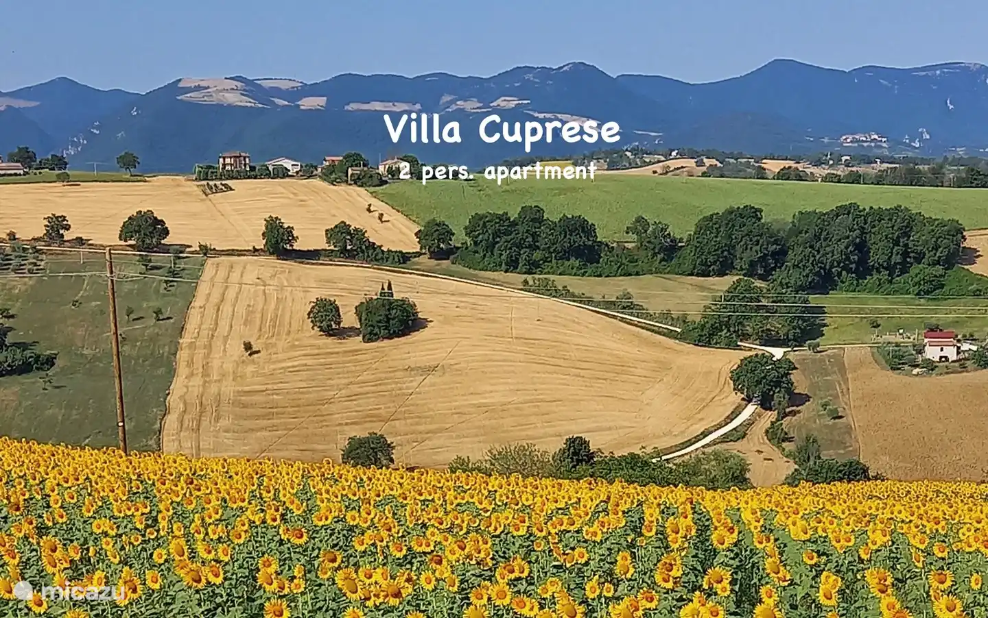 Die Aussicht von der Einfahrt.