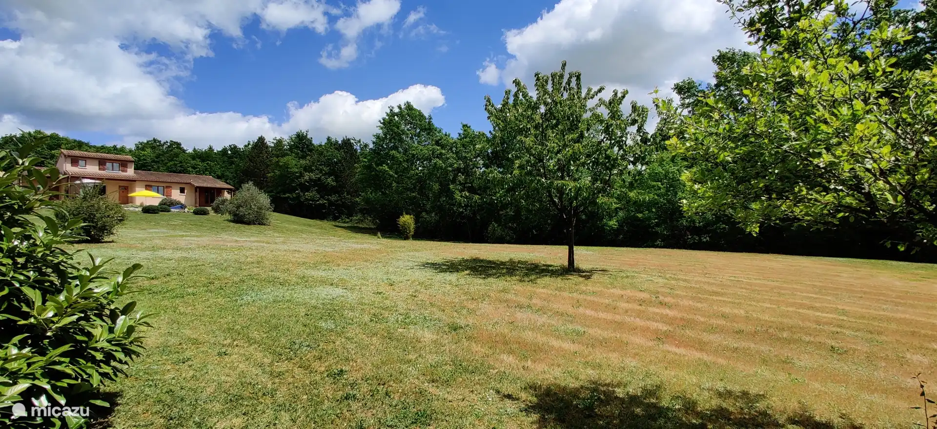 Plenty of space around the house.