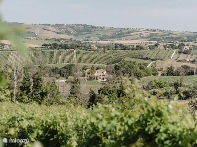Agritourisme Qui Voglio | Italie, Marche, Monte Roberto - ferme La région des Marches avec ses douces collines