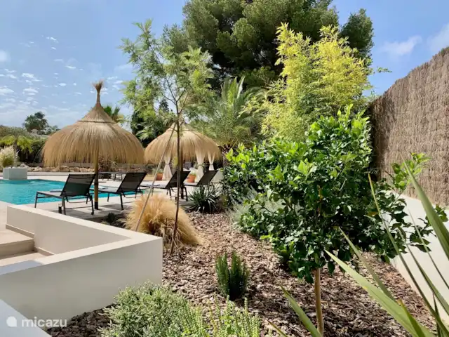 Maison Falzia | Espagne, Costa Blanca, Jávea - villa Cueillez vous-même vos citrons et oranges, il y en a plein de saison Tout comme le thym frais (délicieux sur la viande au barbecue) et la menthe qui se trouvent dans le jardin !