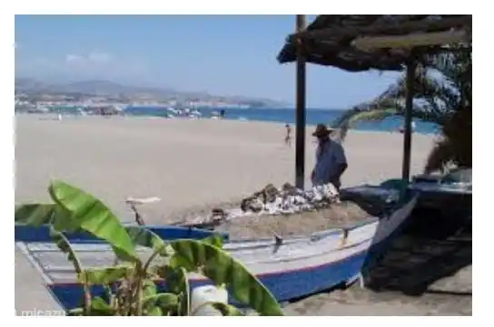 Torre del Mar. Eet knapperige verse vis............