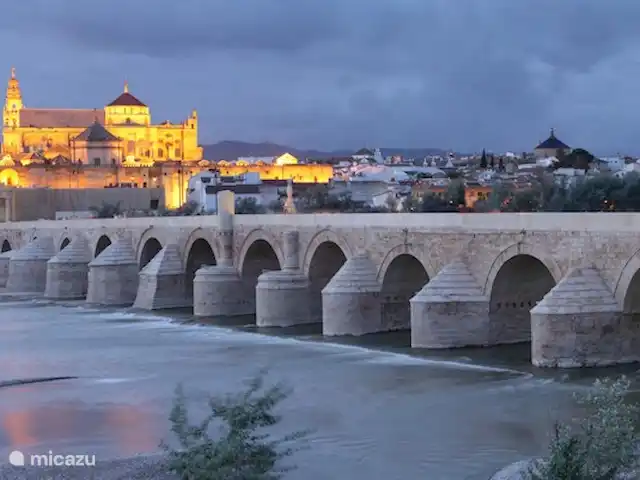 Villa la Pendolera | Espagne, Costa del Sol, Comares - villa Cordoue avec sa Mezquita.