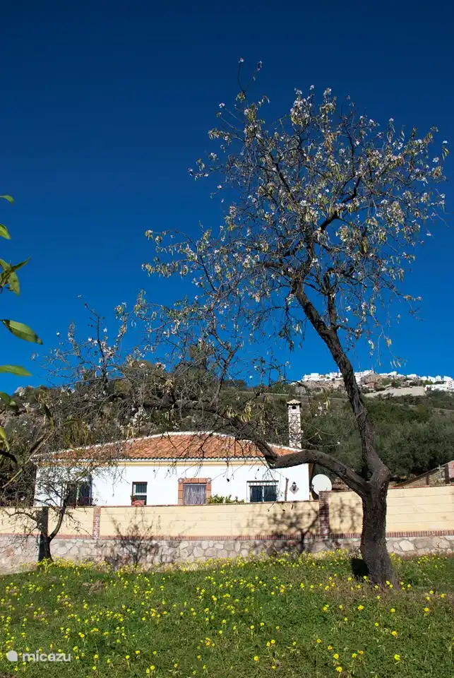 Op slechts 2 km ligt het typisch witgekalkte Andalusische dorpje Comares, een trekpleister voor liefhebbers van de typische cultuur van deze streek.