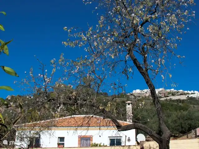 Villa la Pendolera | Espagne, Costa del Sol, Comares - villa À seulement 2 km se trouve le village andalou typique de Comares, blanchi à la chaux, une attraction pour les amoureux de la culture typique de cette région.