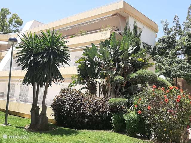 Holiday home in Spain, Costa del Sol, Malaga - apartment Residence Palmeras del Golf