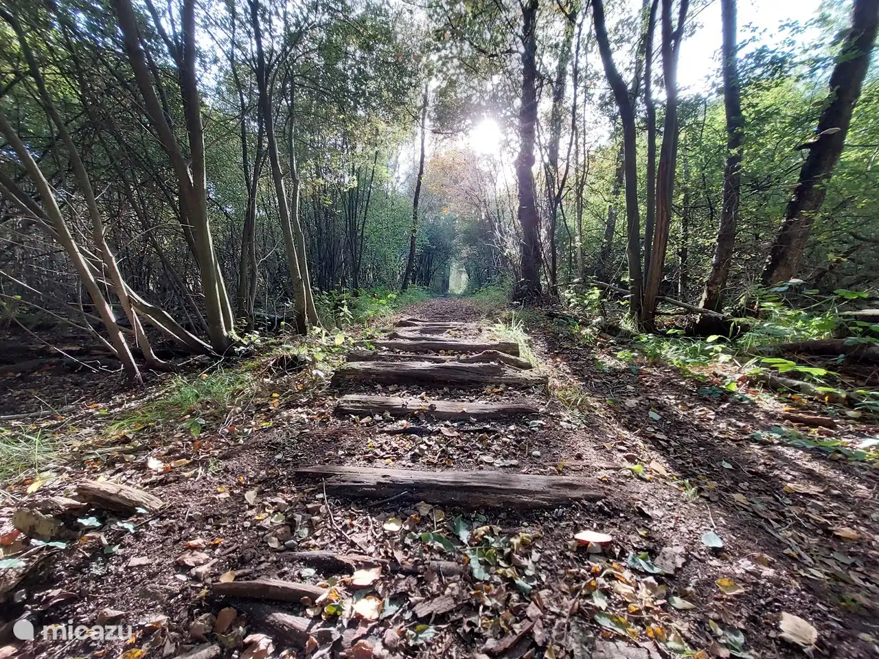 Gehen Sie direkt von der Hütte in die Natur.
