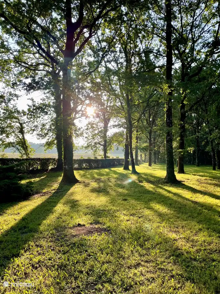 Vorgarten (vollständig eingezäuntes Grundstück)