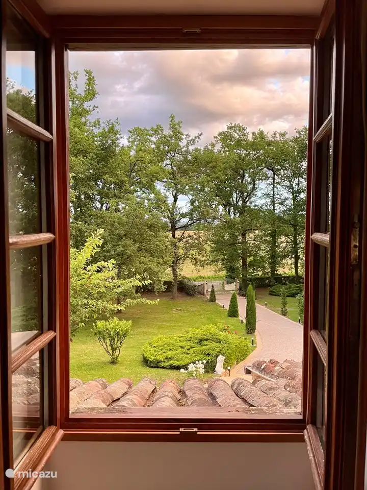 Blick von der obersten Etage auf den Vorgarten