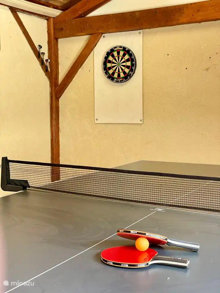 Scheune mit Tischtennisplatte, Darts, Kinderdarts und anderen Spielen