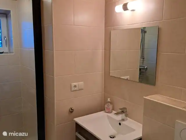 Aloisia - Appartement Aineck | Autriche, Salzburgerland, Sankt Michael Im Lungau - appartement Salle de bains