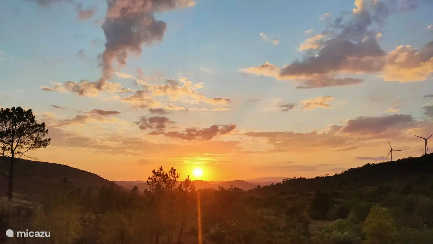 vue depuis la chambre