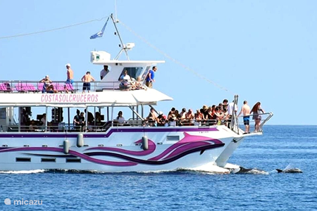 Dolphin watching boat trip