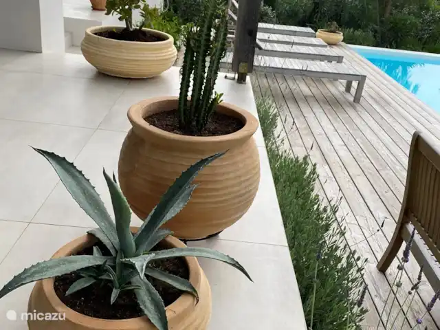 Villa Mouria en Grecia, Gracia Central, Pogonia - villa Verdaderamente griego: las macetas completan el aspecto natural.