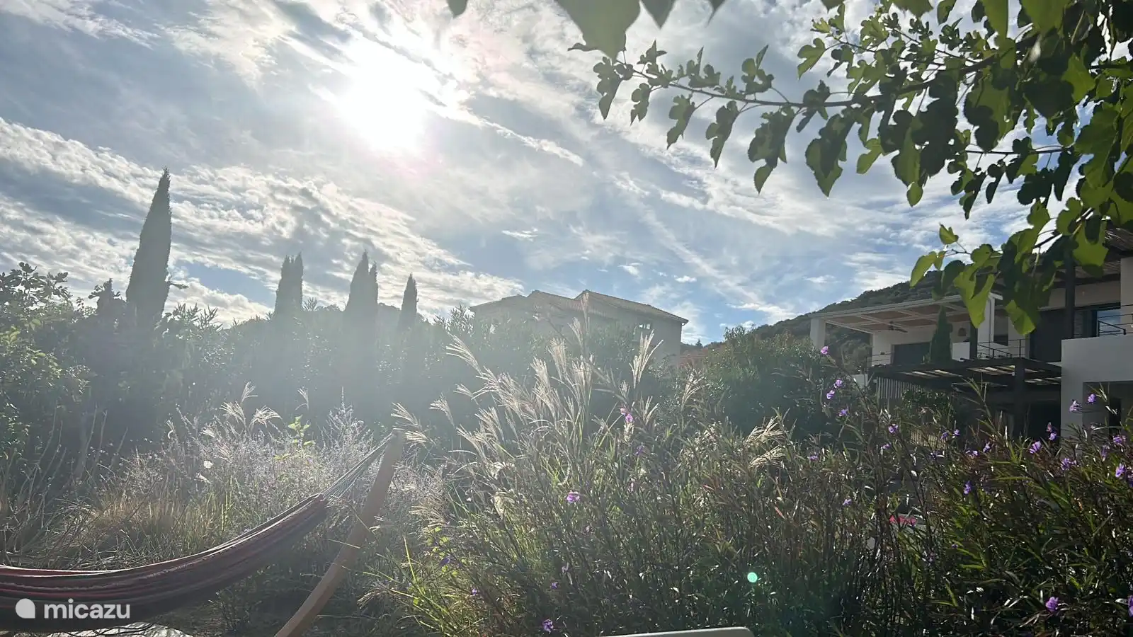 Spectacle nocturne depuis le jardin