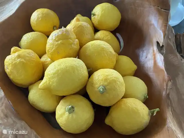 Villa Mouria en Grecia, Gracia Central, Pogonia - villa Cosecha del jardín