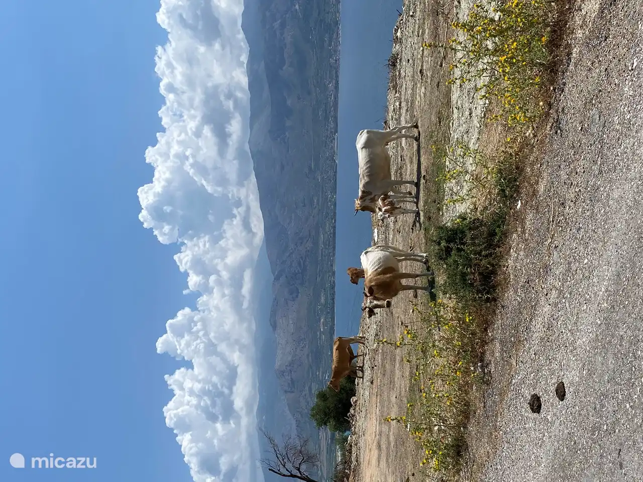 Rencontre lors d'une promenade