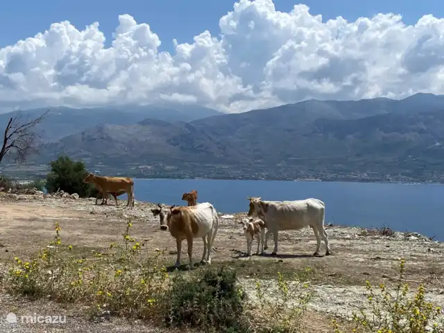 Villa Mouria en Grecia, Gracia Central, Pogonia - villa Encuentro durante un paseo