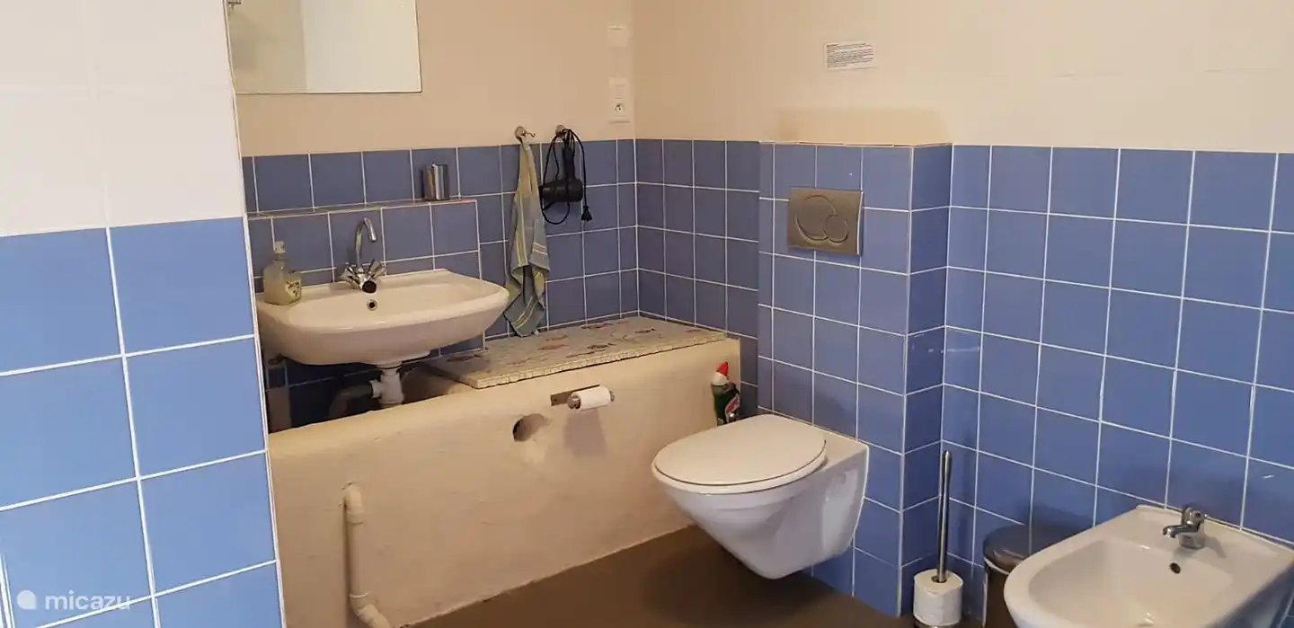 Die Dusche ist geräumig und komfortabel.