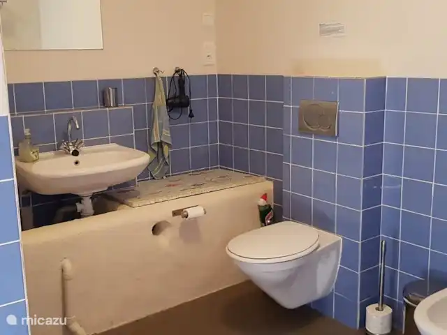 Location de Vacances France, Puy-de-Dôme, Teilhet, maison de vacances - Malguette La douche est spacieuse et confortable.