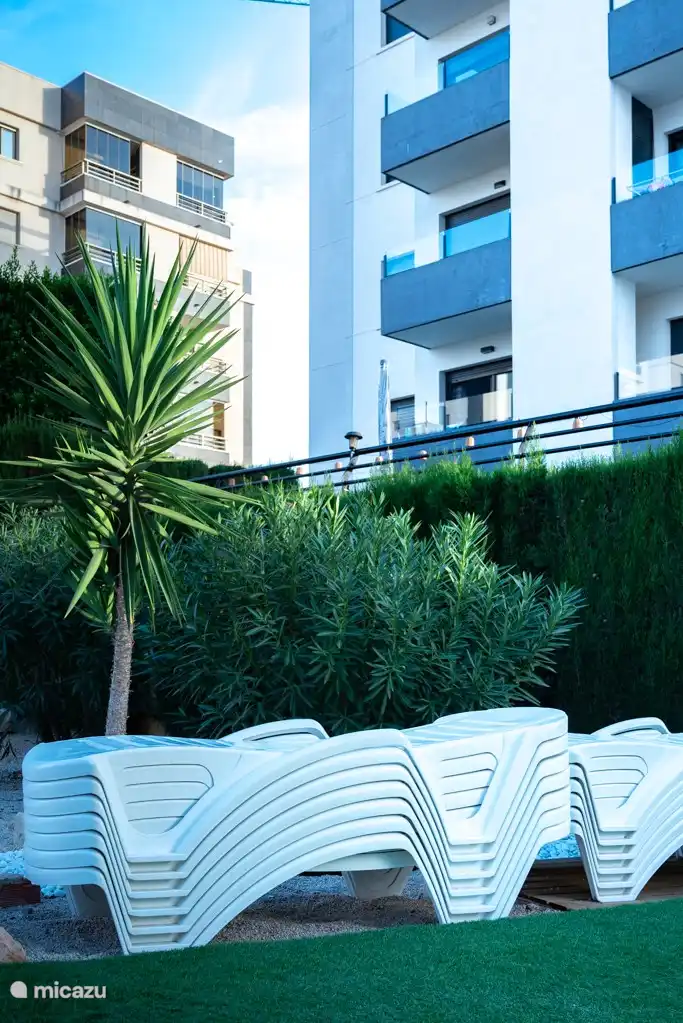 Hamacas en la piscina comunitaria