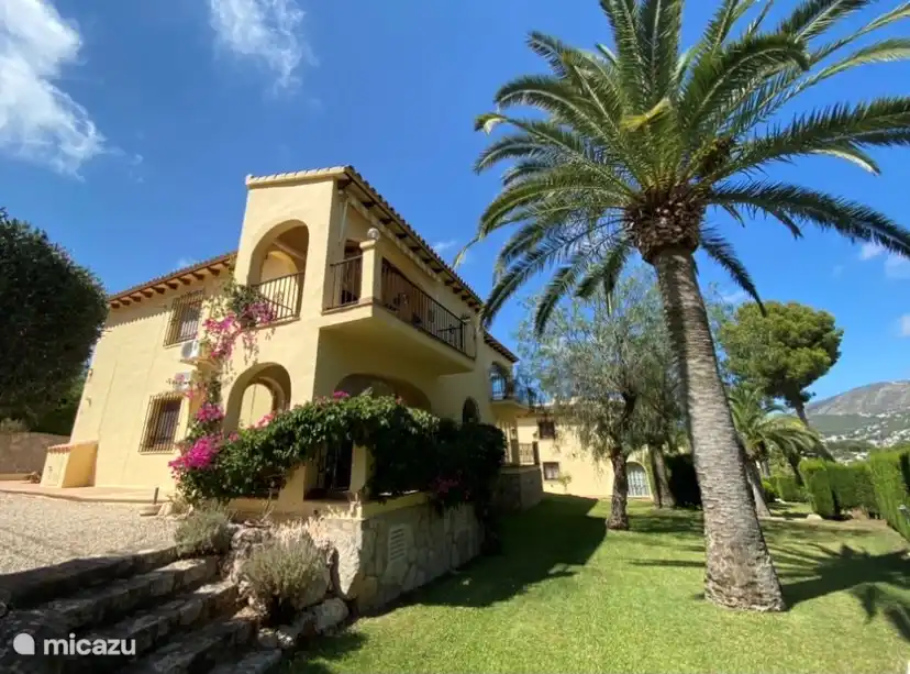 Our apartment on the first floor, the balcony and the beautiful palm tree in the garden around the apartment.