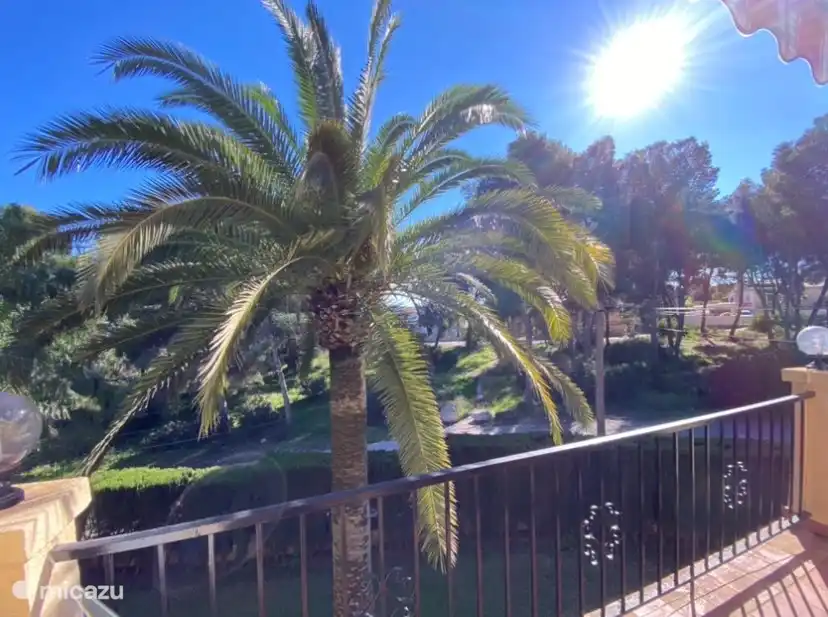 We are proud of the beautiful palm tree in front of our balcony. And the beautiful unobstructed view.