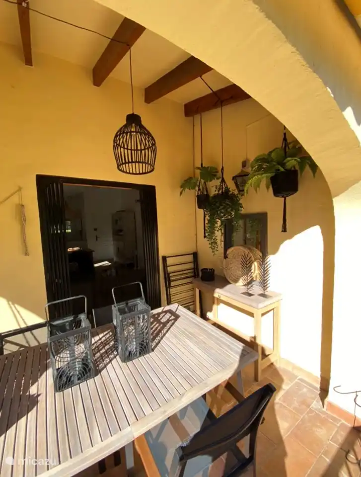 Our flora and fauna on the balcony. In the corner is the black drying rack and pegs. You can place the drying rack anywhere on the balcony.