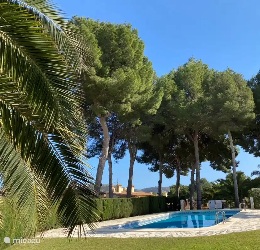 The 2nd swimming pool in the beautiful tropical garden with outdoor shower. Here you can also relax with the sun beds.