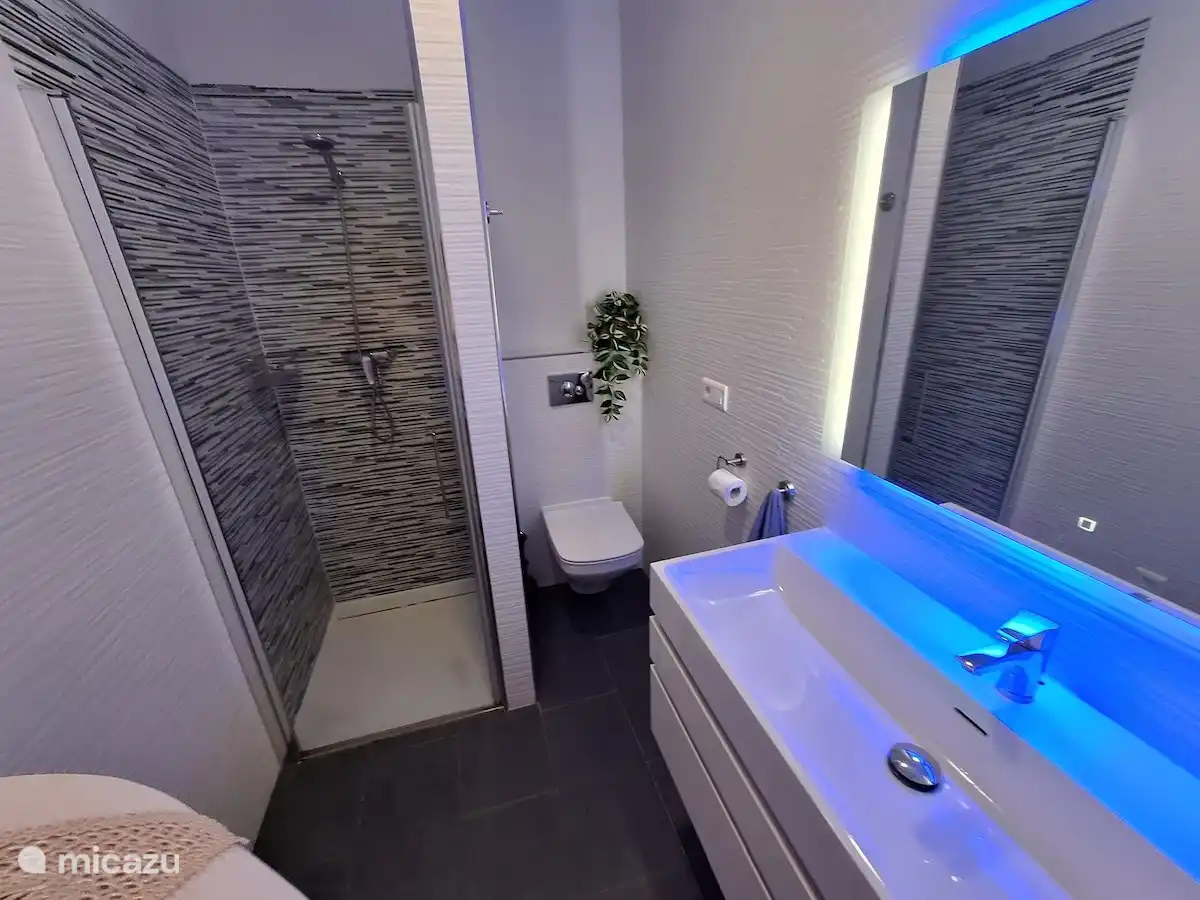 This shower with toilet adjacent to bedrooms 2 and 3 is modernly furnished. In addition, there is a 3. shower with toilet available downstairs by the pool.