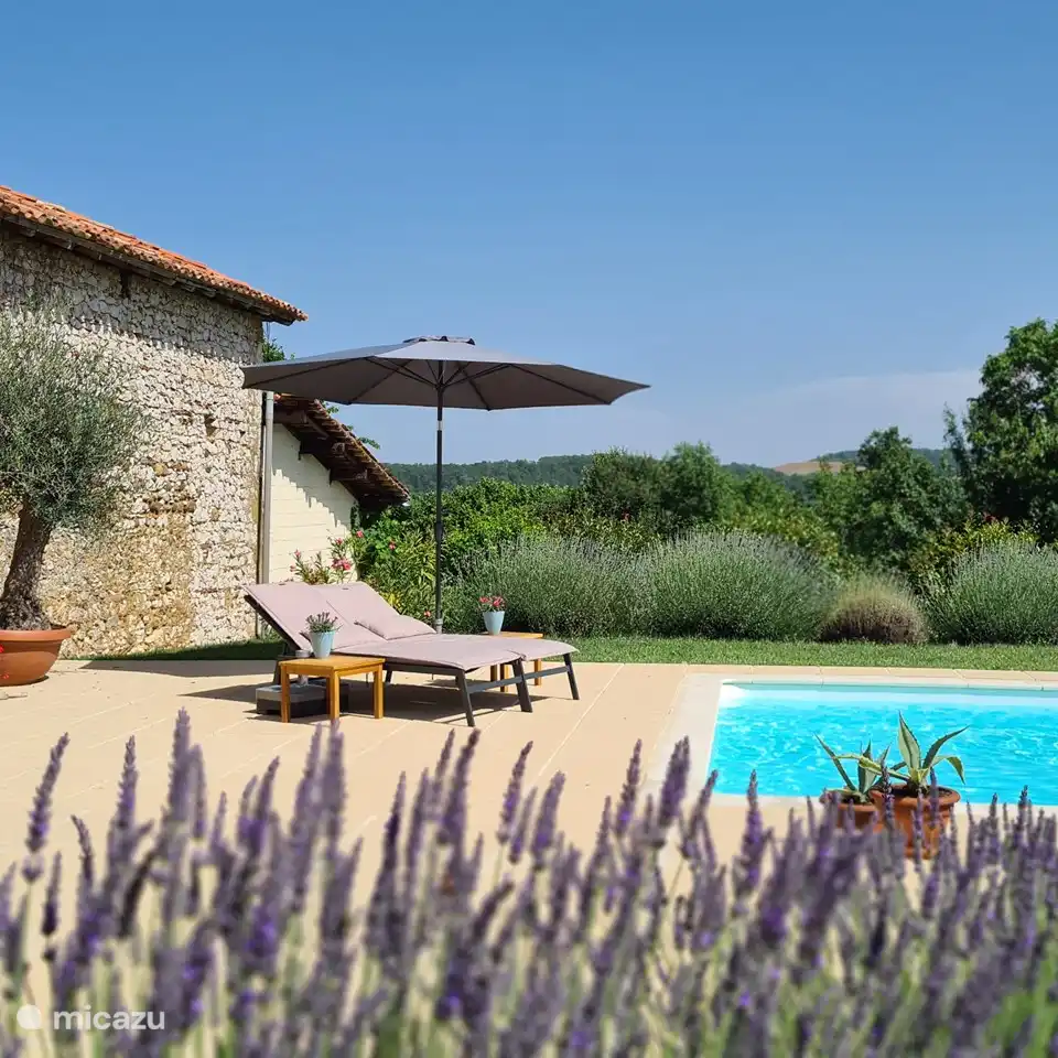Entspannen und tanken Sie in aller Ruhe. Die Sonnenliegen mit passenden Kissen und Strandtüchern/Foutas warten bereits auf Sie!