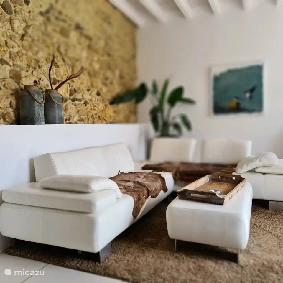 Geschmackvoll eingerichtetes sonniges Wohnzimmer