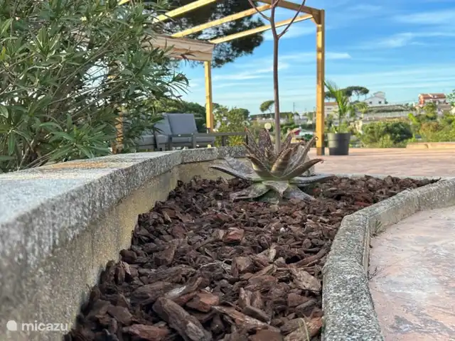 Maison Trigo | Espagne, Costa Brava, Macanet de la Selva - maison de vacances