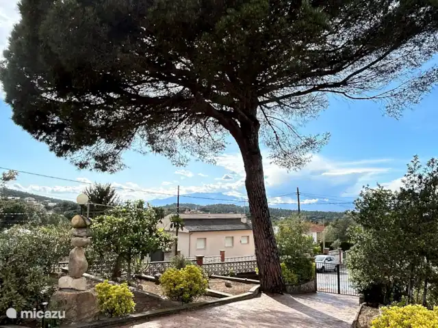Maison Trigo | Espagne, Costa Brava, Macanet de la Selva - maison de vacances