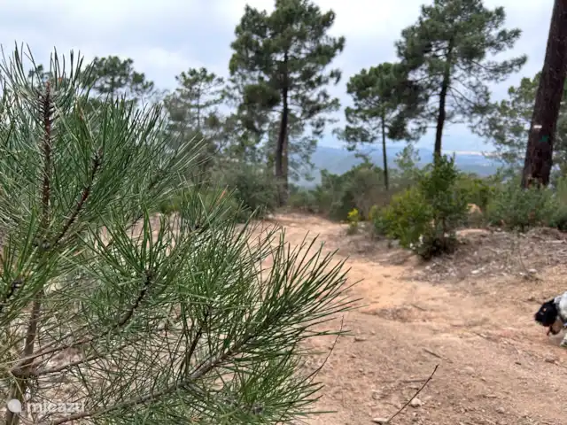 Maison Trigo | Espagne, Costa Brava, Macanet de la Selva - maison de vacances À seulement 5 minutes du chalet, au sommet de la montagne, vous trouverez une magnifique réserve naturelle où vous pourrez faire de la randonnée ou du VTT.