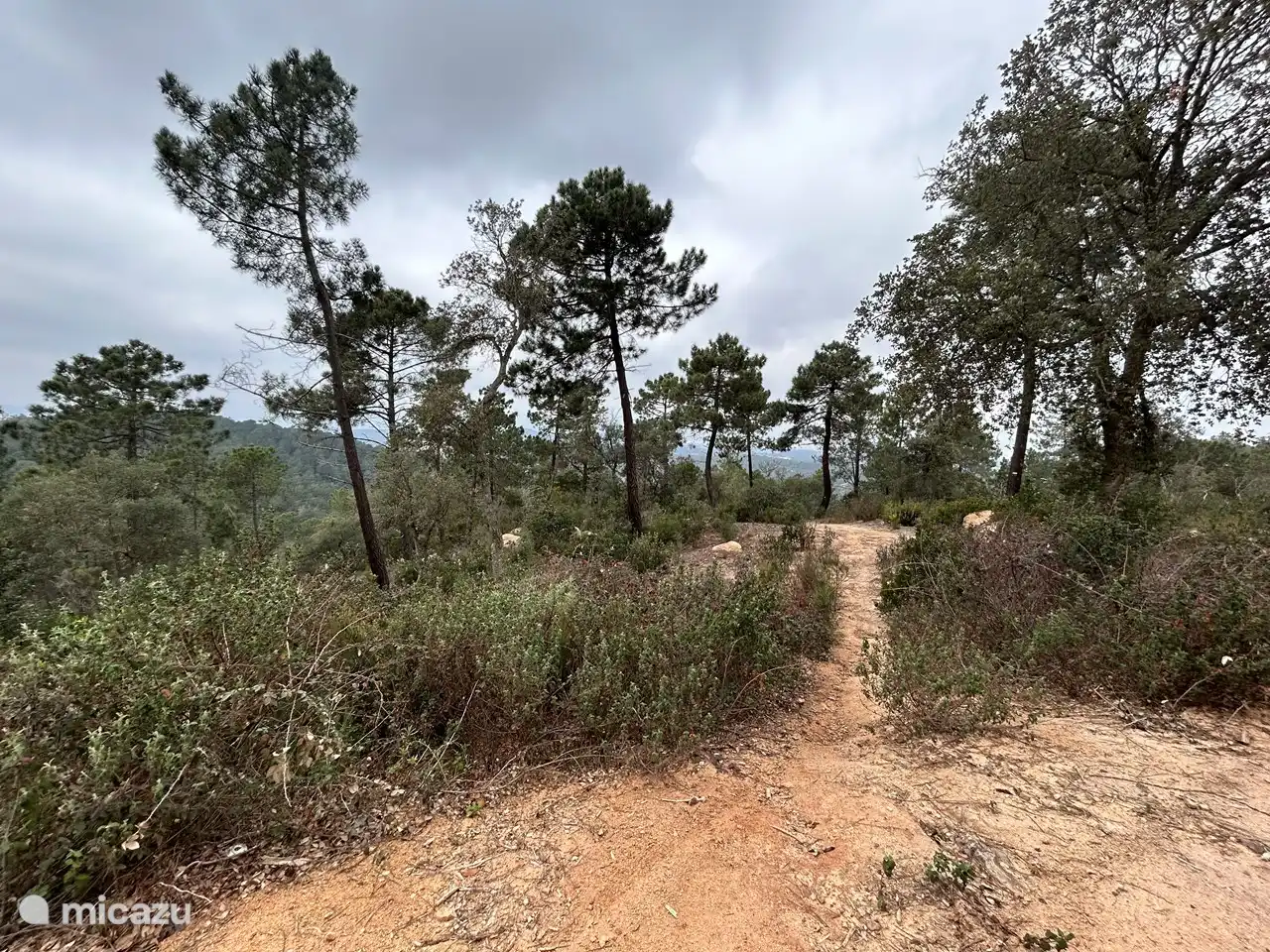 Just 5 minutes from the cottage, on top of the mountain, you will find a beautiful nature reserve where you can go hiking or mountain biking.