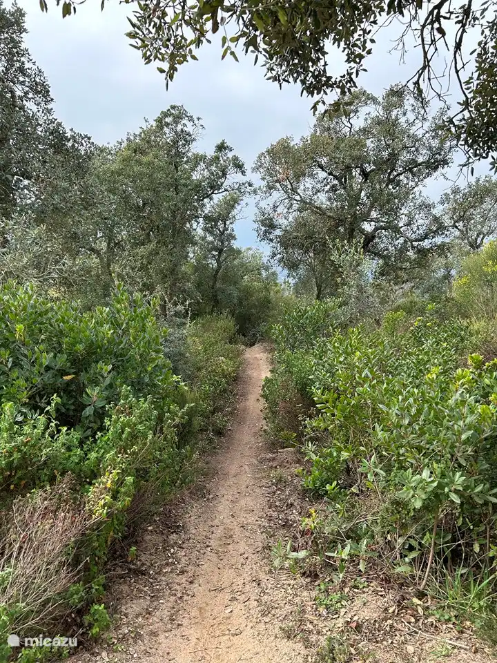 Just 5 minutes from the cottage, on top of the mountain, you will find a beautiful nature reserve where you can go hiking or mountain biking.