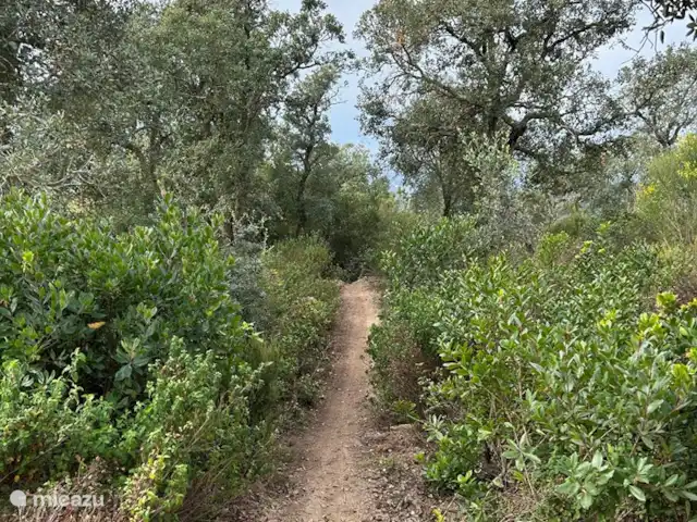 Maison Trigo | Espagne, Costa Brava, Macanet de la Selva - maison de vacances À seulement 5 minutes du chalet, au sommet de la montagne, vous trouverez une magnifique réserve naturelle où vous pourrez faire de la randonnée ou du VTT.