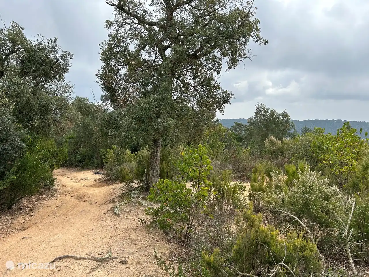 Just 5 minutes from the cottage, on top of the mountain, you will find a beautiful nature reserve where you can go hiking or mountain biking.