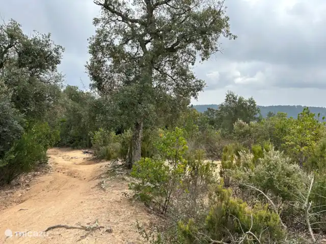 Maison Trigo | Espagne, Costa Brava, Macanet de la Selva - maison de vacances À seulement 5 minutes du chalet, au sommet de la montagne, vous trouverez une magnifique réserve naturelle où vous pourrez faire de la randonnée ou du VTT.