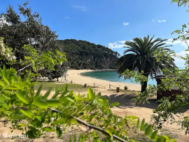 Maison Trigo | Espagne, Costa Brava, Macanet de la Selva - maison de vacances Platya Santa Cristina