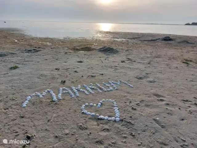 Wetterwille | Pays-Bas, Frise, Makkum - villa