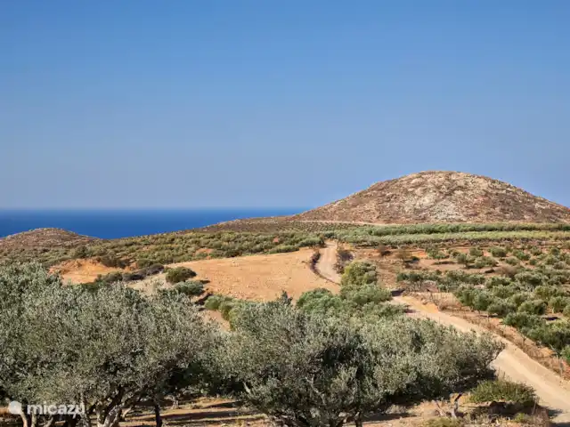 Metochi Lodge huren in Griekenland, Kreta, Platanos - villa Bergzichten en olijfgaarden rondom het huis