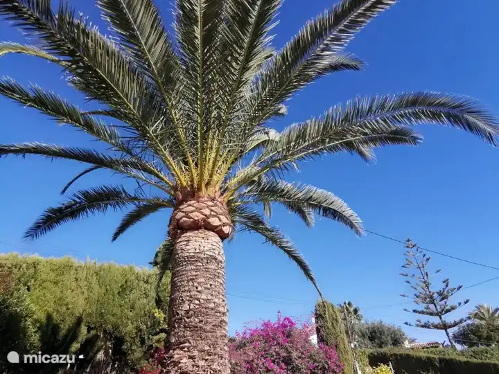 Heerlijk vakantiehuis Moraira
