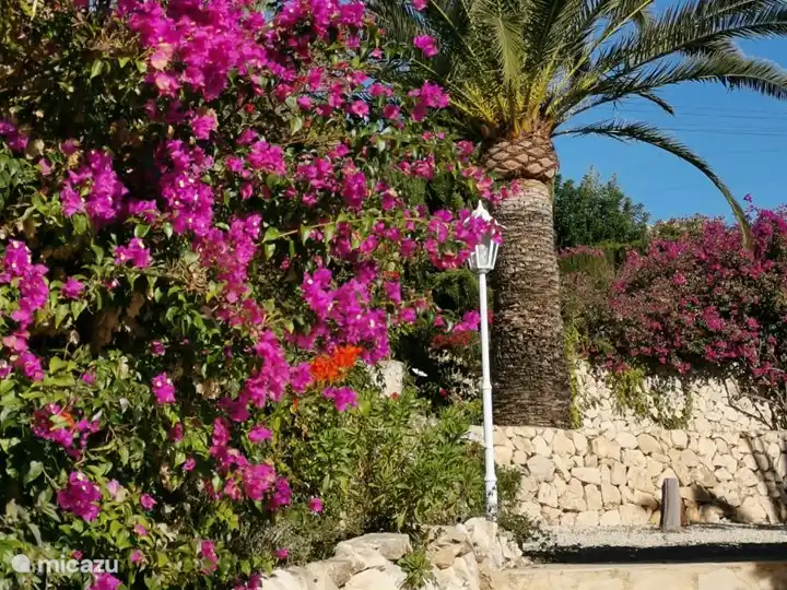 Heerlijk vakantiehuis Moraira