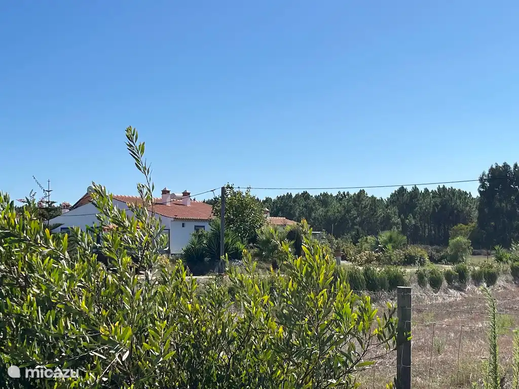 Vakantiehuisjes met mooie tuin en vrij gelegen. Veel privacy. Dichtbij de dorpen en de stranden.