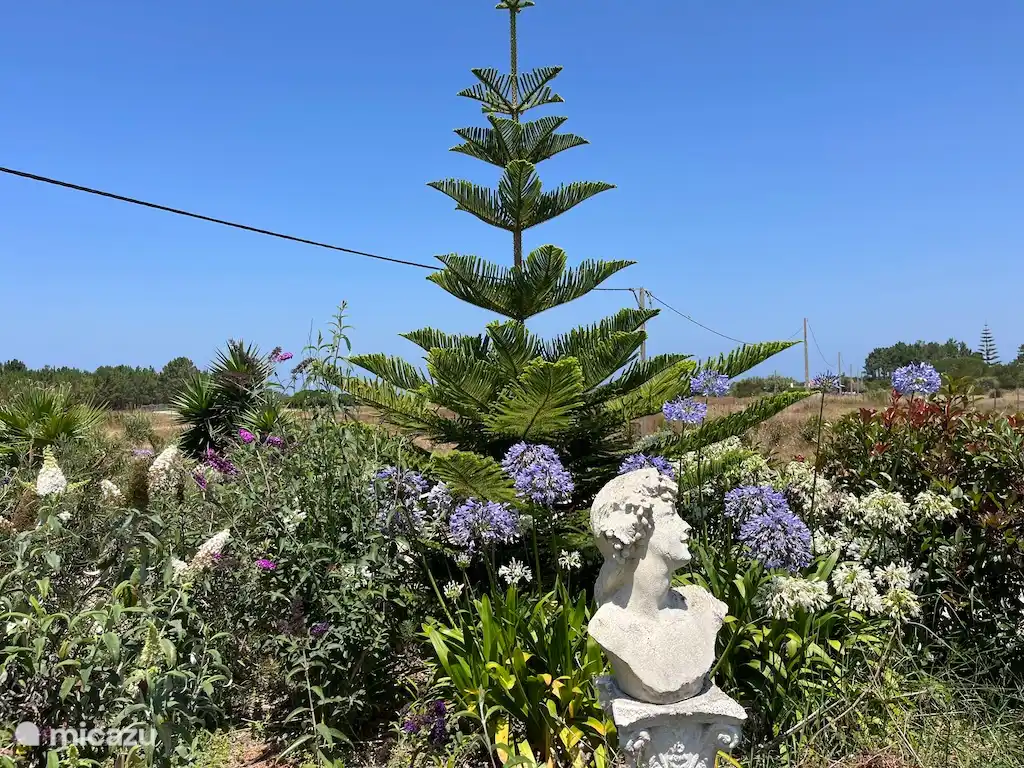 De parktuin rondom geeft veel privacy.